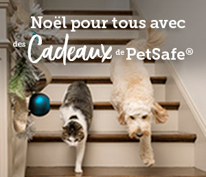 Fête de fin d’année : 49% des Français souhaitent offrir un cadeau à leur animal de compagnie