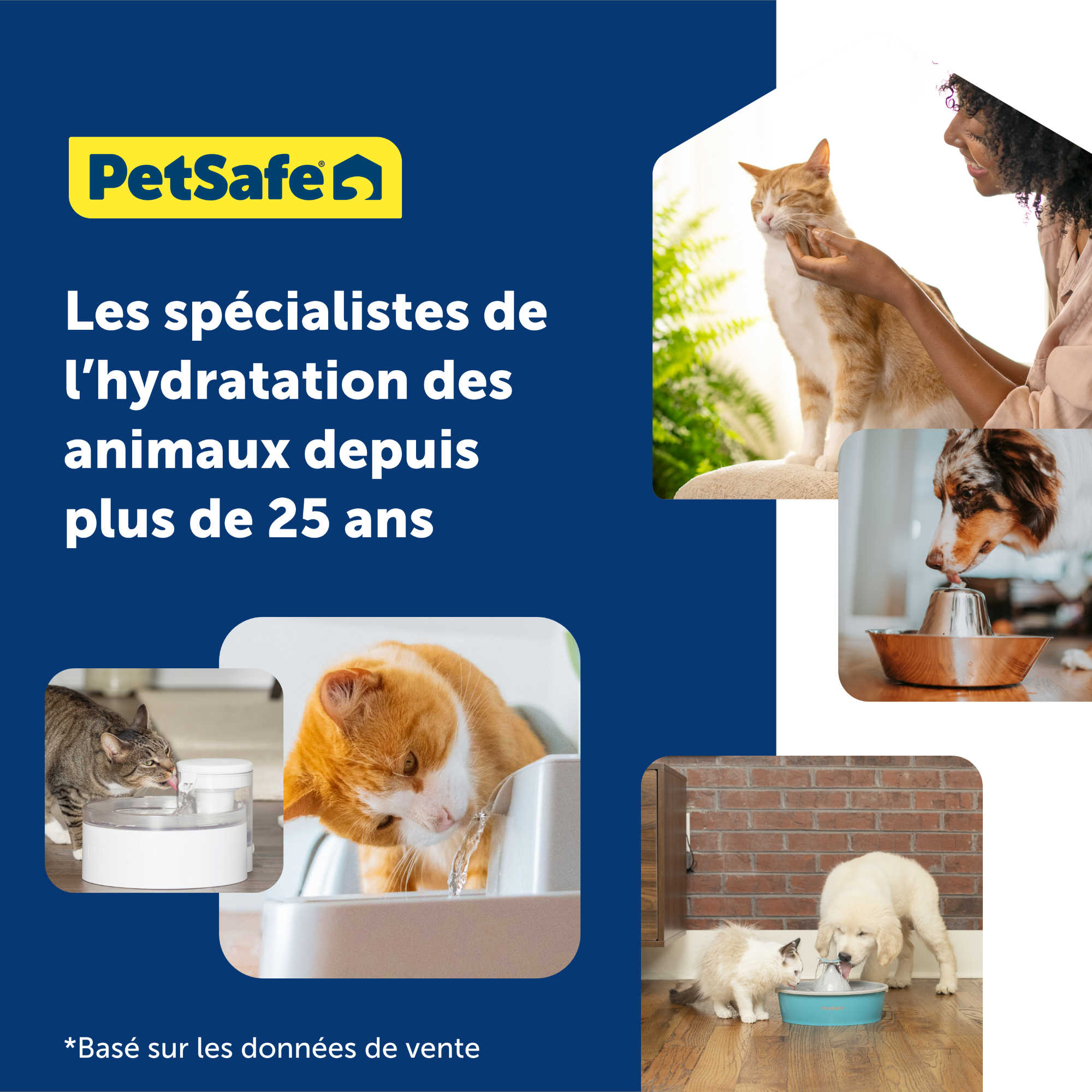 Fontaine pour animaux de compagnie Viva, 1,8 litre