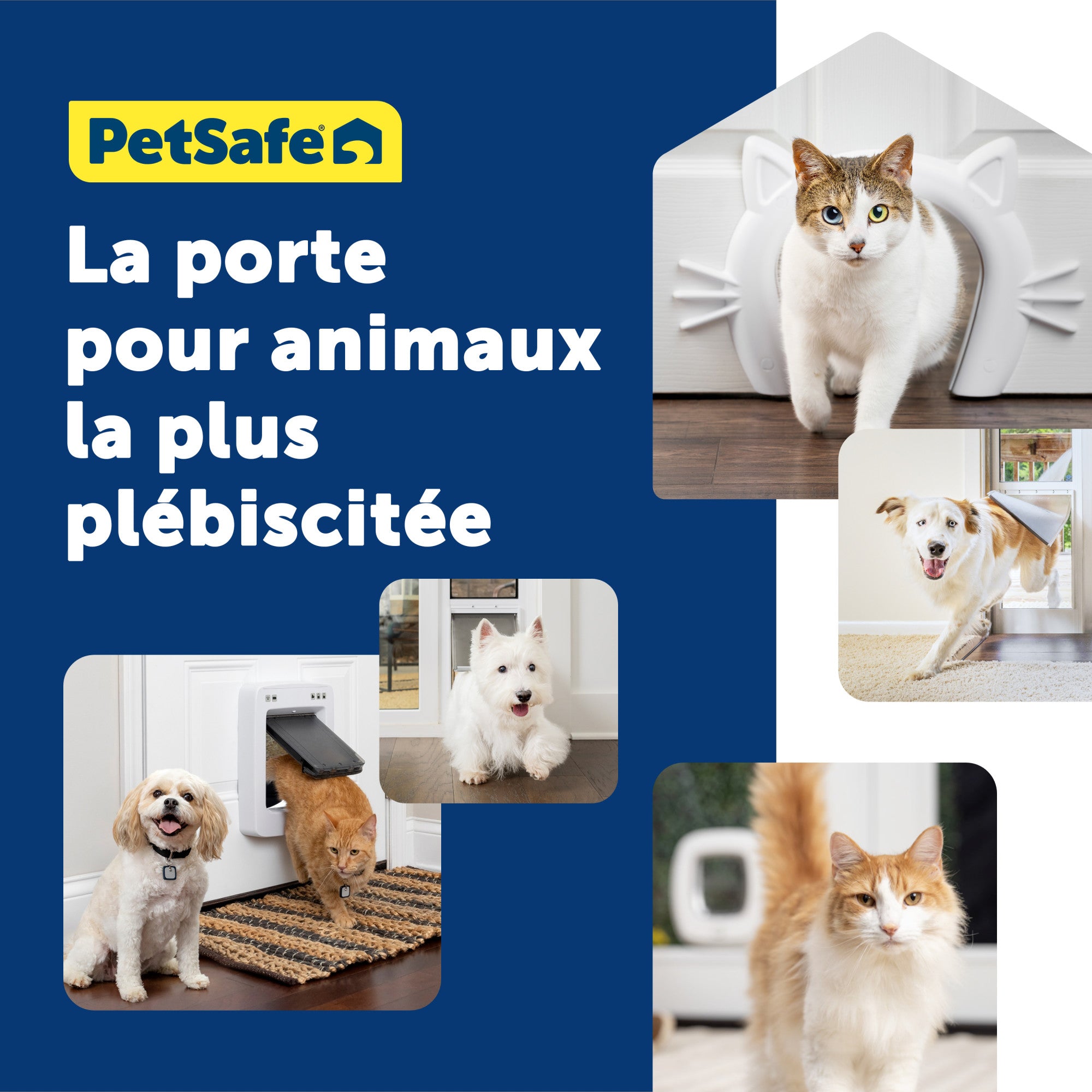 Adapteur pour fixation sur verre pour chatière pour grands chats