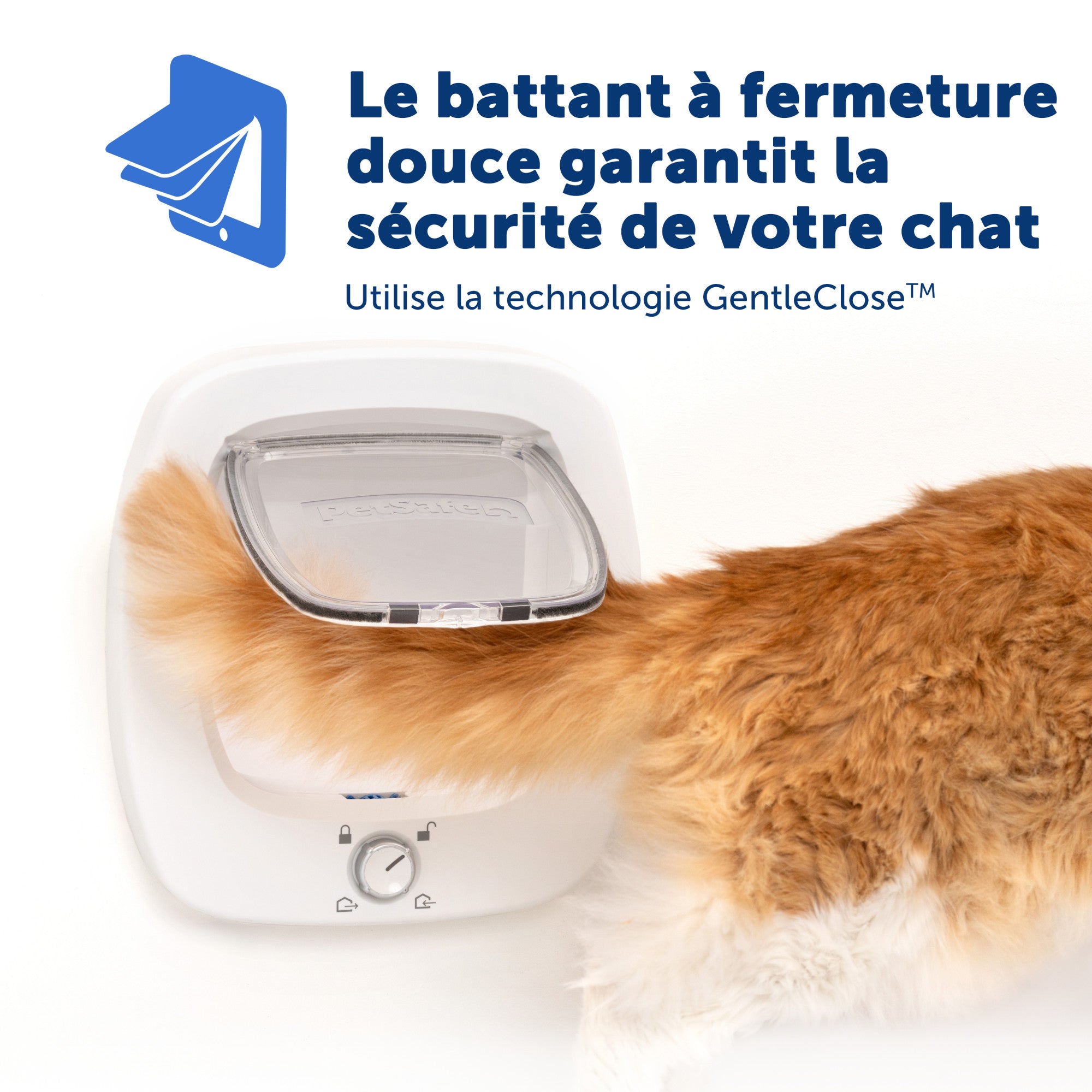 Chatière pour grands chats