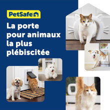 Charger l&#39;image dans la galerie, Chatière pour grands chats
