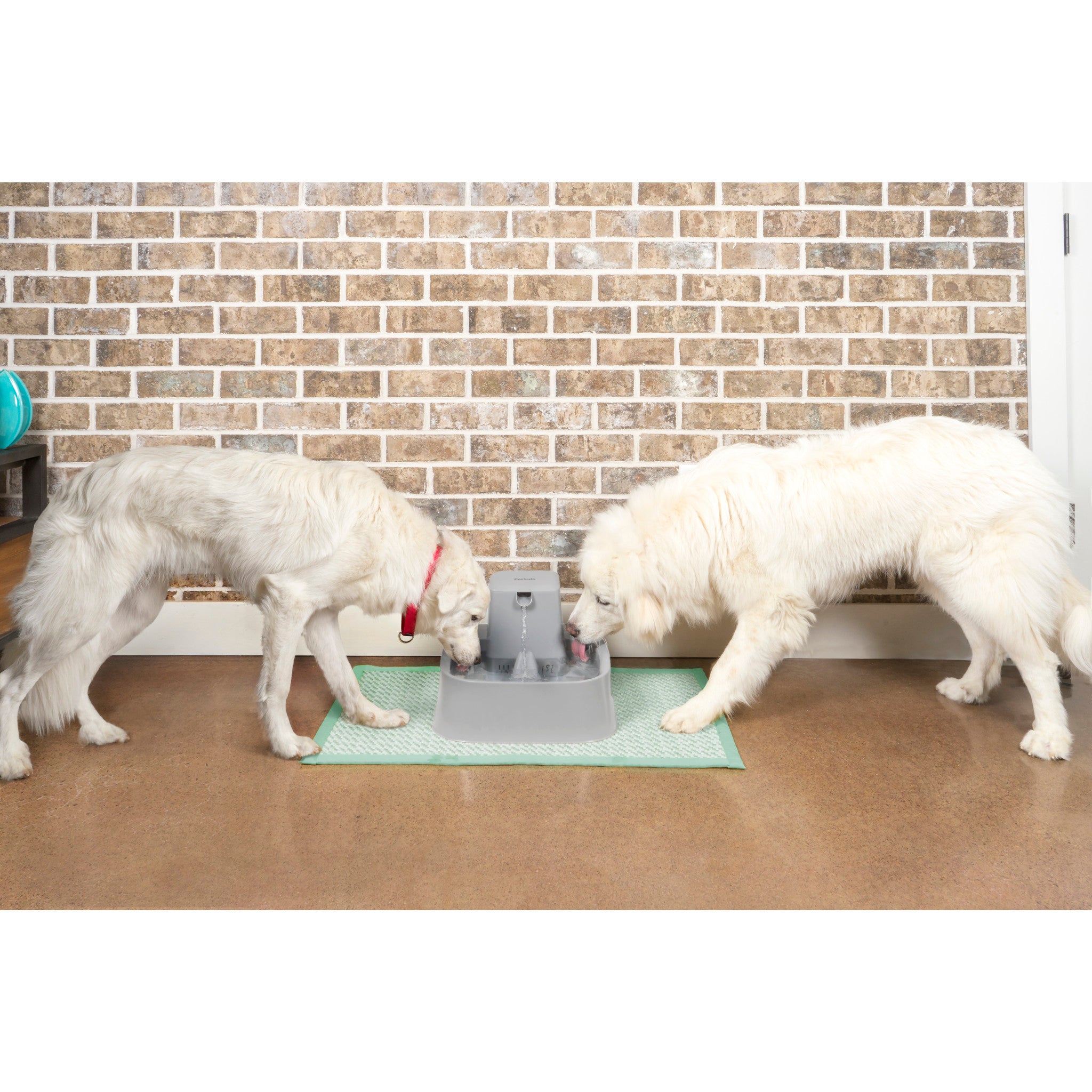 Fontaine pour animaux de 7,5 litres Drinkwell®