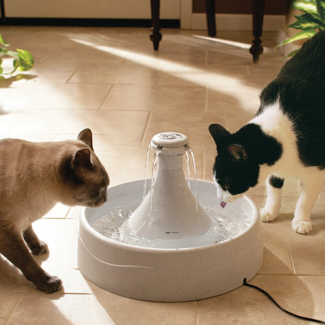 Fontaine pour animaux de compagnie 360 Drinkwell®