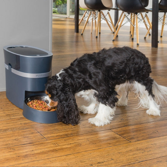 Distributeur de croquettes connecté Smart Feed de PetSafe® pour chiens et chats